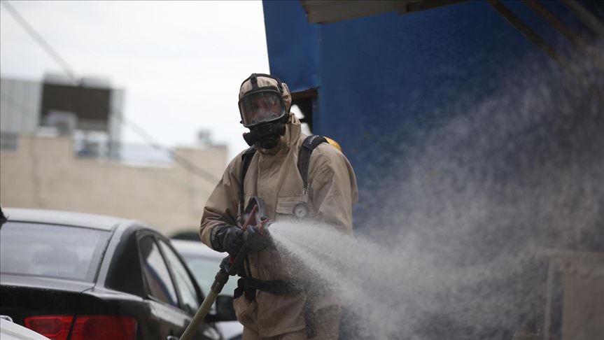 رقم شركة تعقيم  01030651837