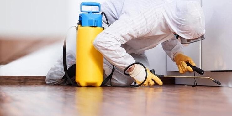 خدمات مكافحة العته