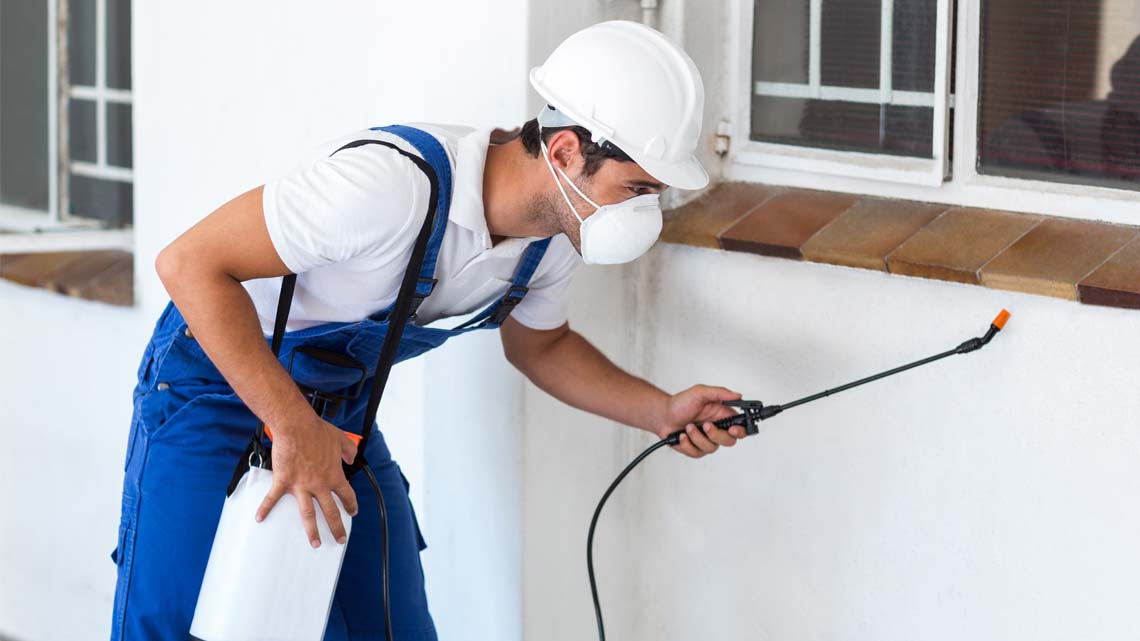 خدمات مكافحة القراد