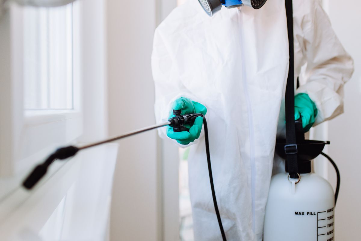 مكافحة الحشرات بافضل الوسائل الآمنه