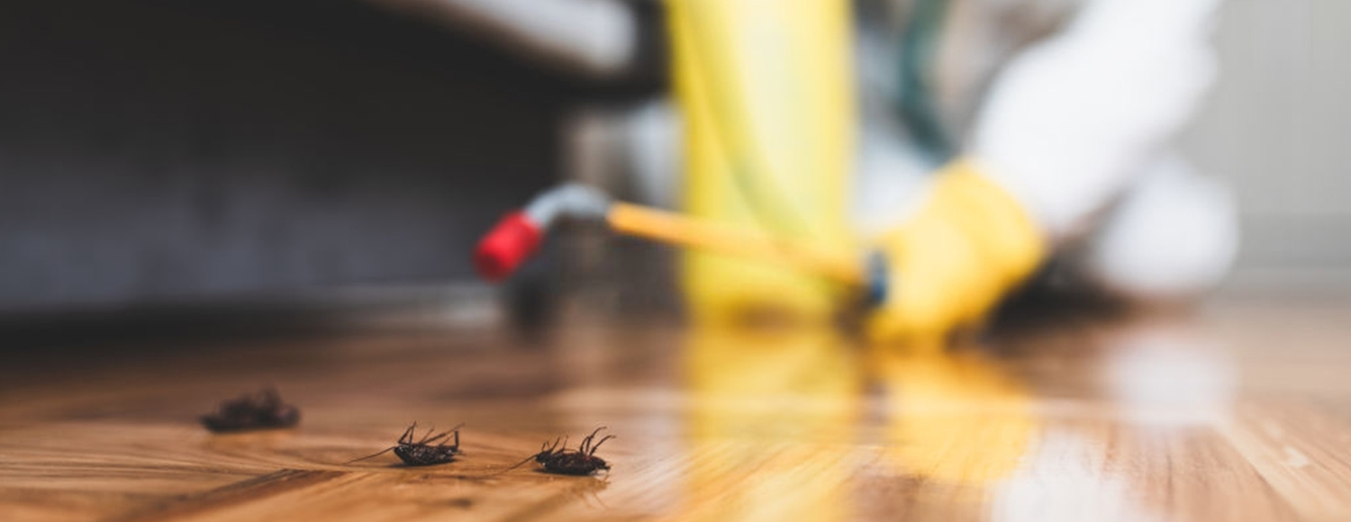 افضل شركة للقضاء على البق 2022